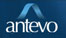 Antevo